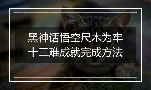 黑神话悟空尺木为牢十三难成就完成方法