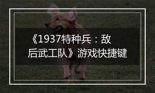 《1937特种兵：敌后武工队》游戏快捷键