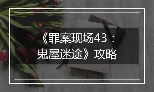《罪案现场43：鬼屋迷途》攻略