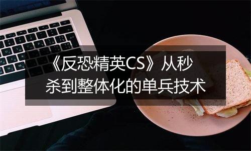 《反恐精英CS》从秒杀到整体化的单兵技术