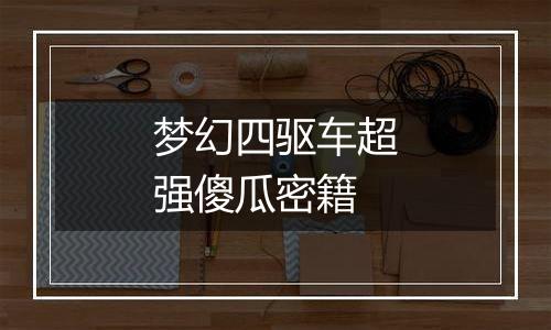 梦幻四驱车超强傻瓜密籍