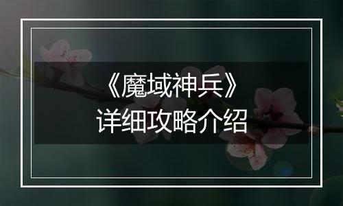 《魔域神兵》详细攻略介绍