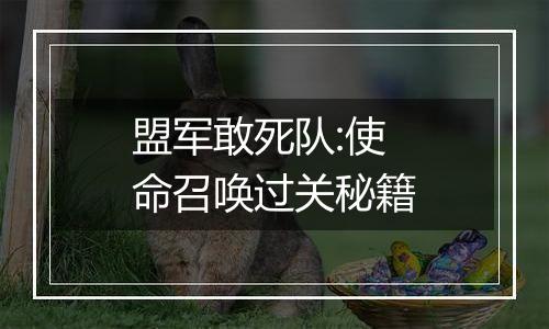 盟军敢死队:使命召唤过关秘籍