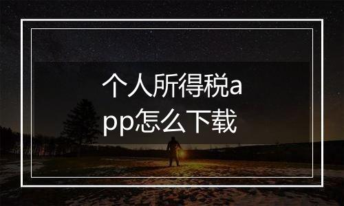 个人所得税app怎么下载